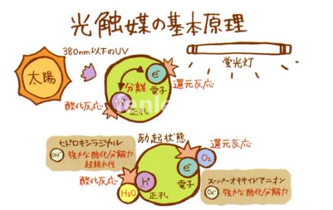 日喀则专业保洁公司承接开荒外墙地毯家电除甲醛灭鼠等保洁业务